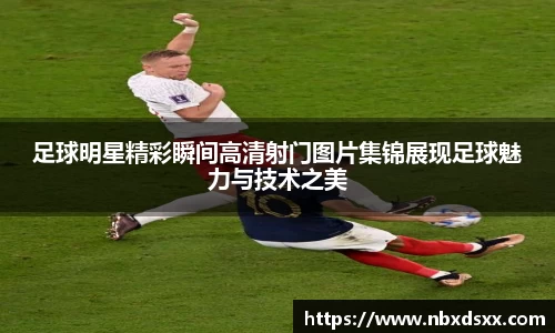 南宫NG28